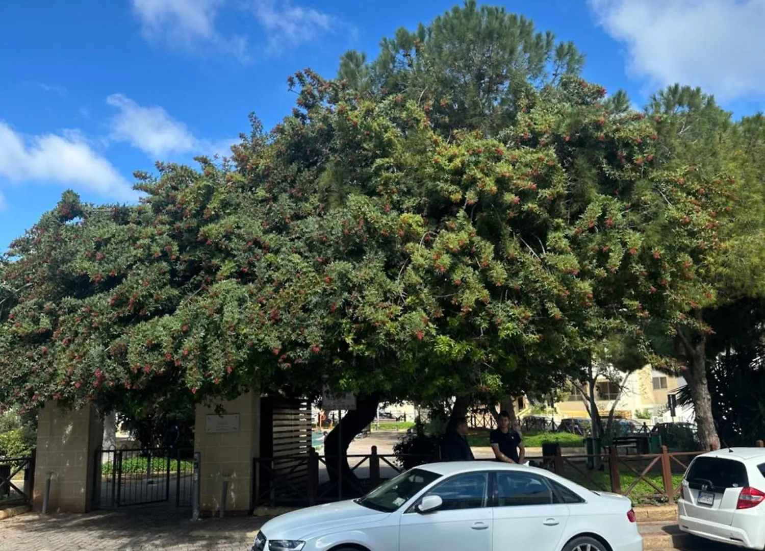 1 Room In A Shared 3 Bedrrom Apartment In Swieqi 10 Mins Away From Paceville And Beach Saint Julian's